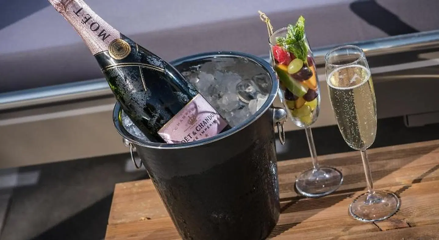 Riviera Beach Hotel Tiere