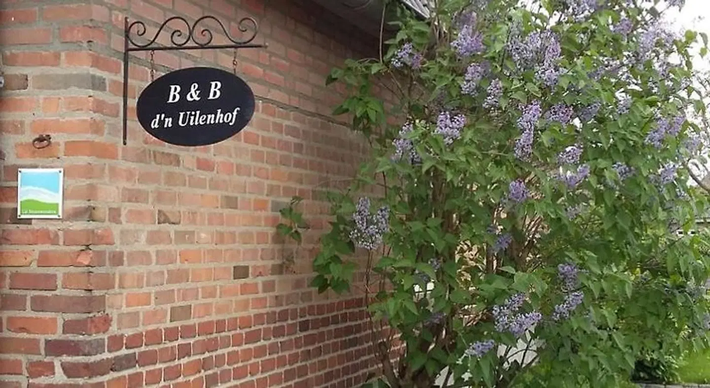 B&B d'n Uilenhof Haren EXTERIOR