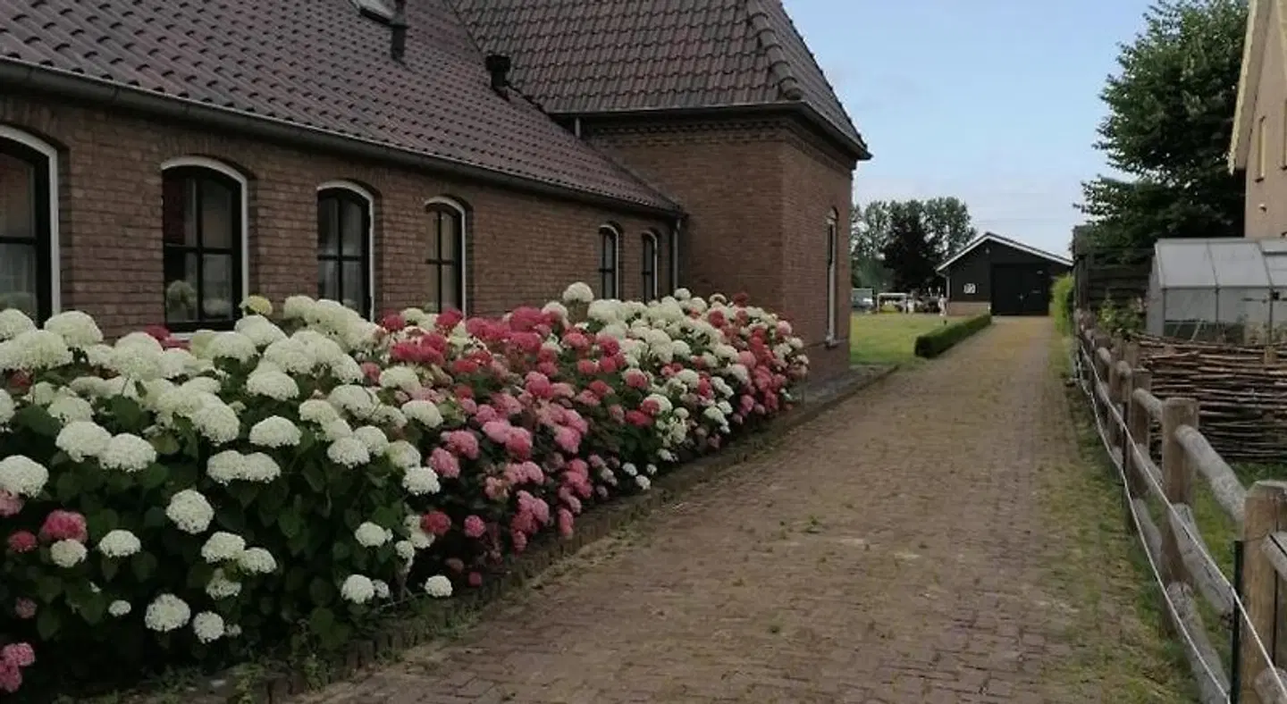 B&B d'n Uilenhof Haren Terrasse