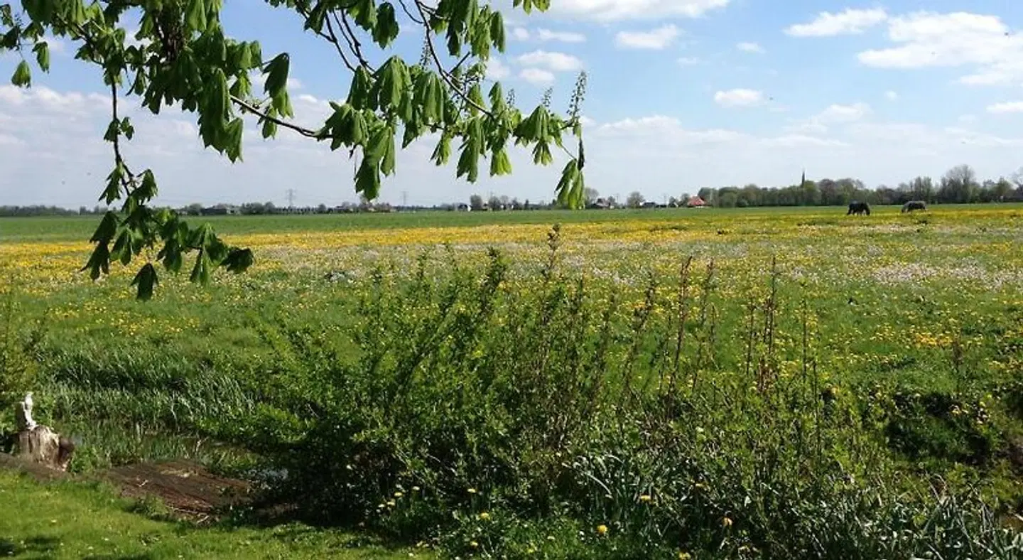 Bed & Breakfast Bij Lucie Garten