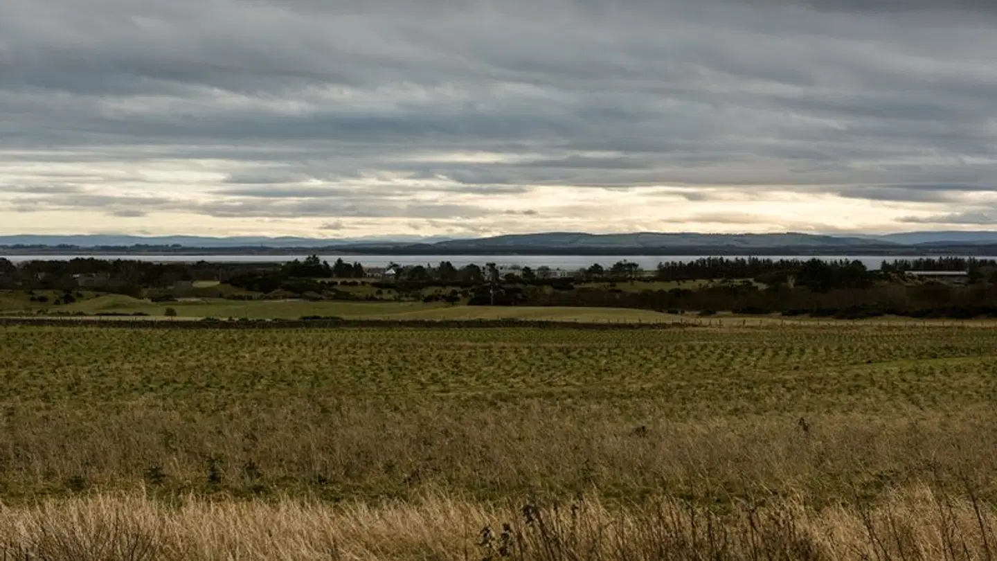The Steading LANDSCAPE