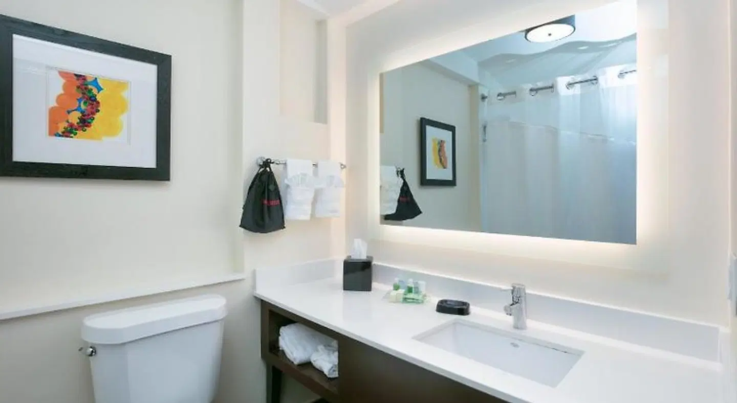 Holiday Inn Dallas - Fort Worth Airport South by IHG Badezimmer