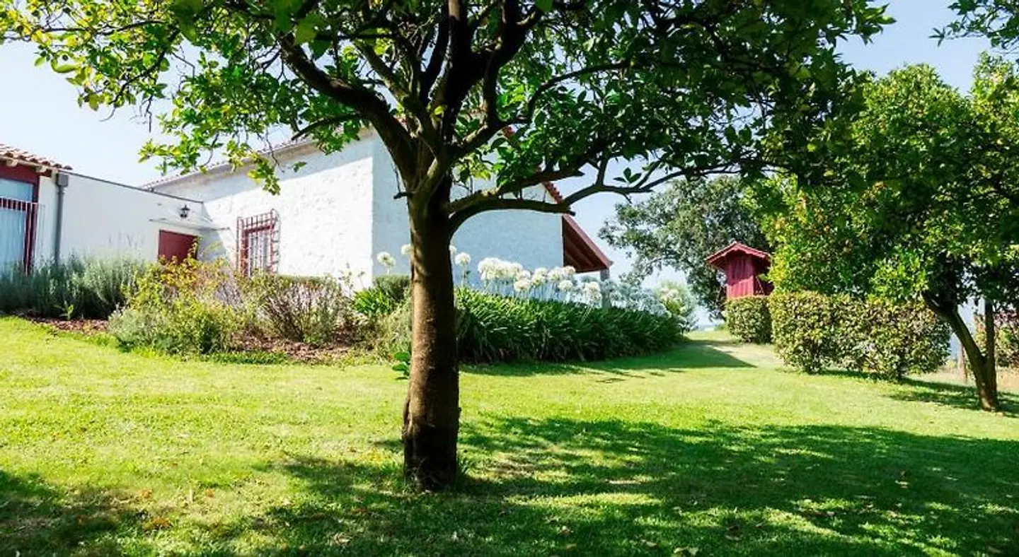 Casa de Cartemil Garten
