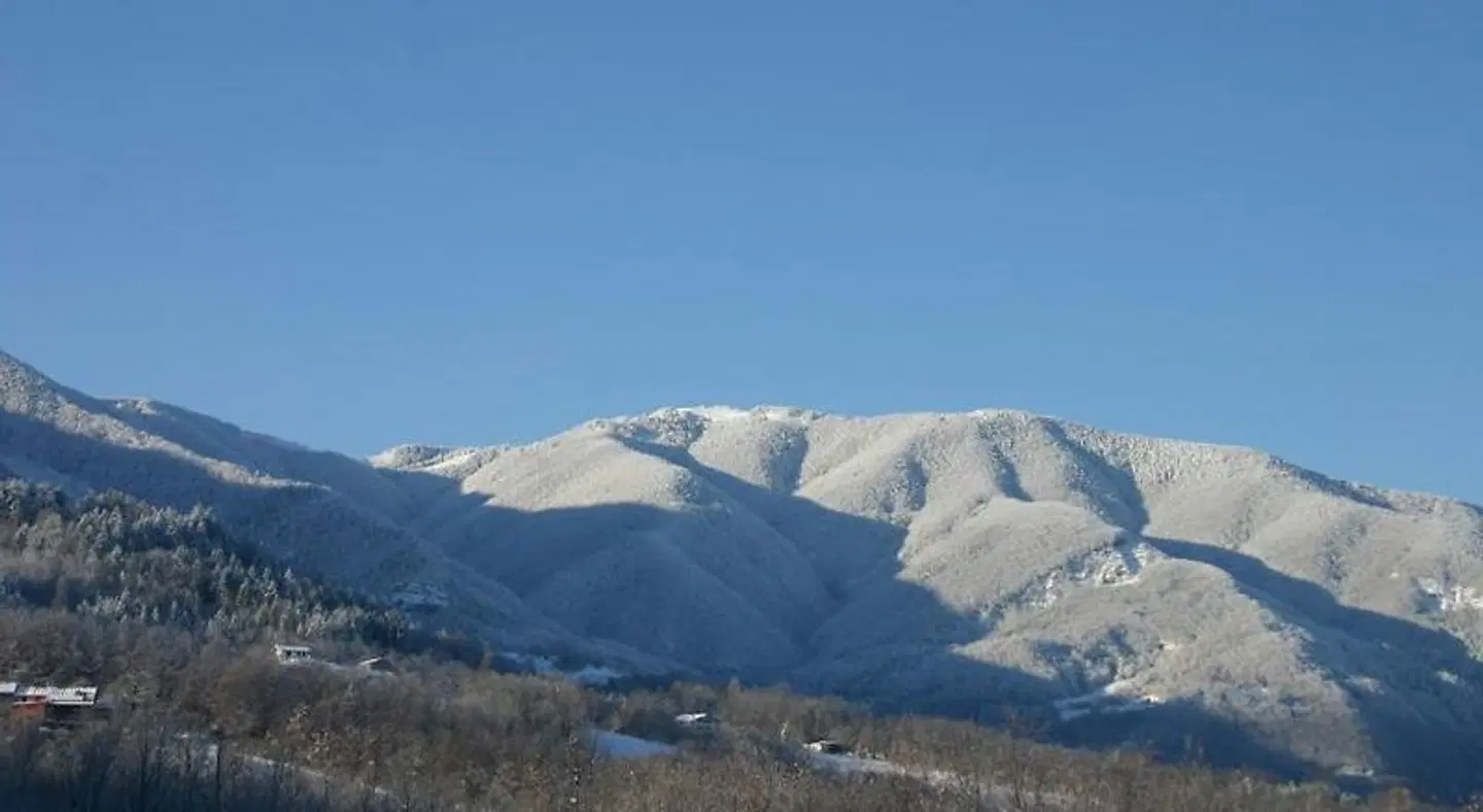 Al Poggio LANDSCAPE