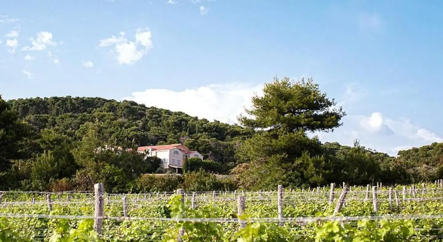 Bokinac LANDSCAPE