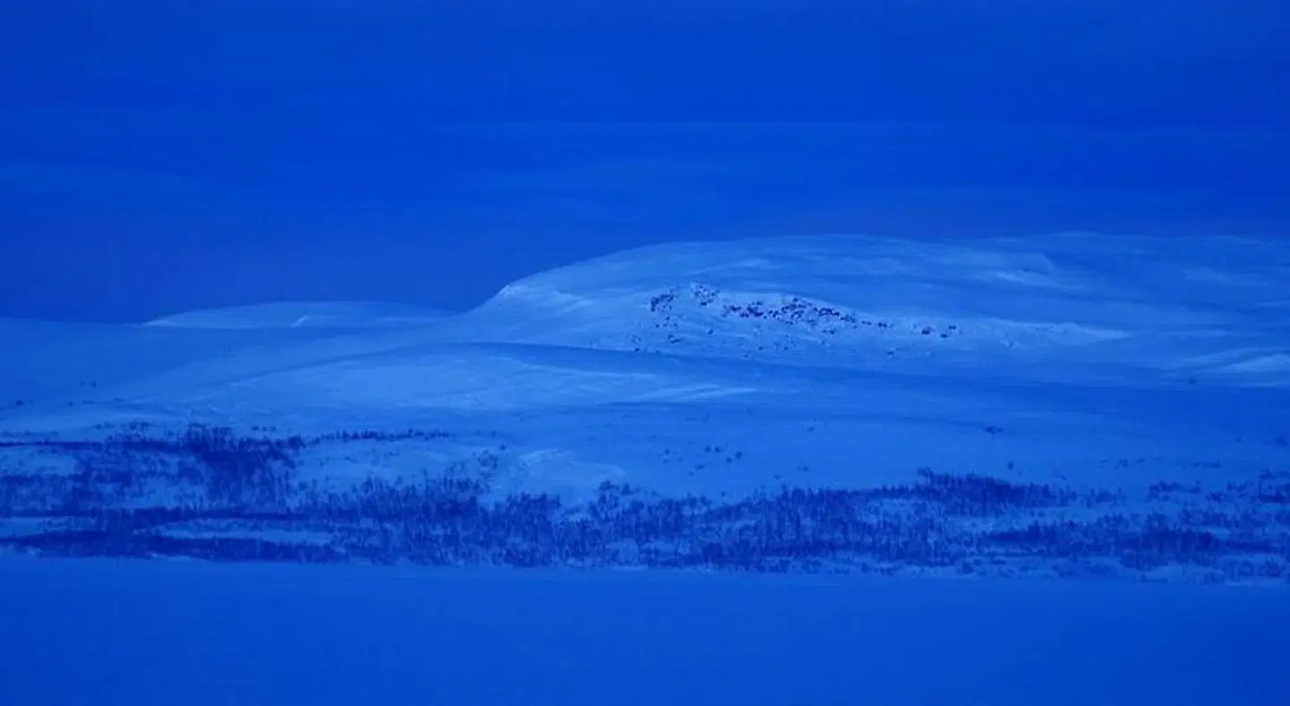 Guesthouse Haltinmaa LANDSCAPE