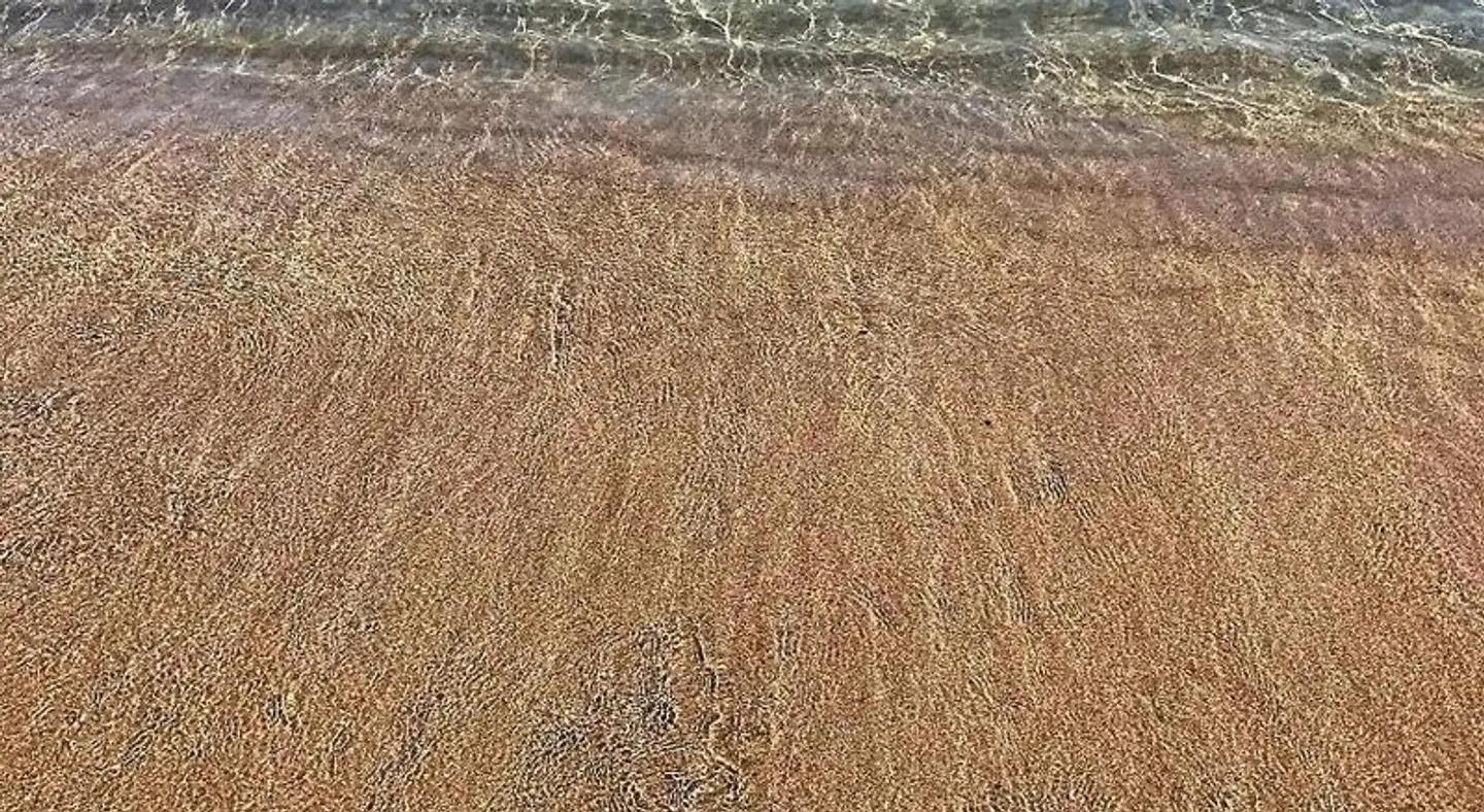 Liviko View LANDSCAPE