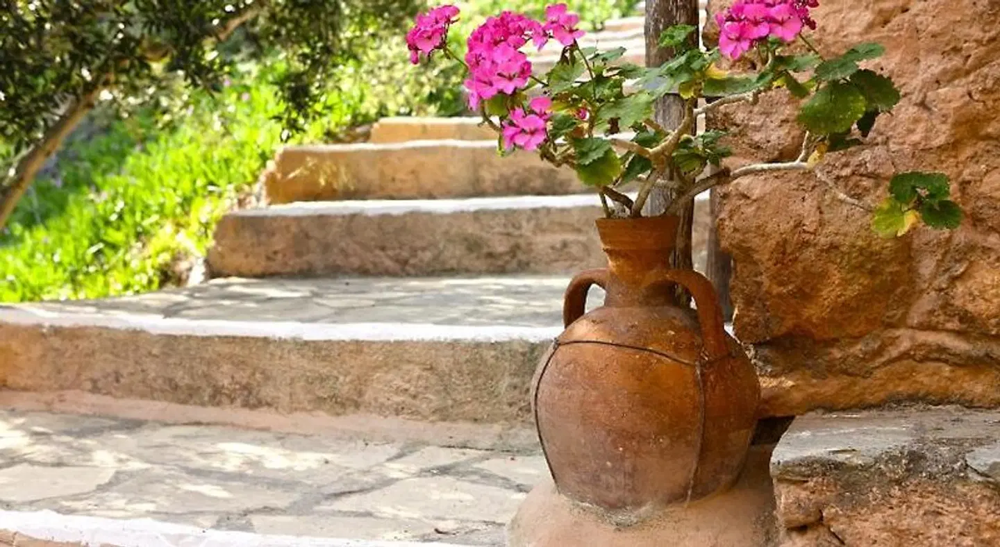 Aspros Potamos Terrasse