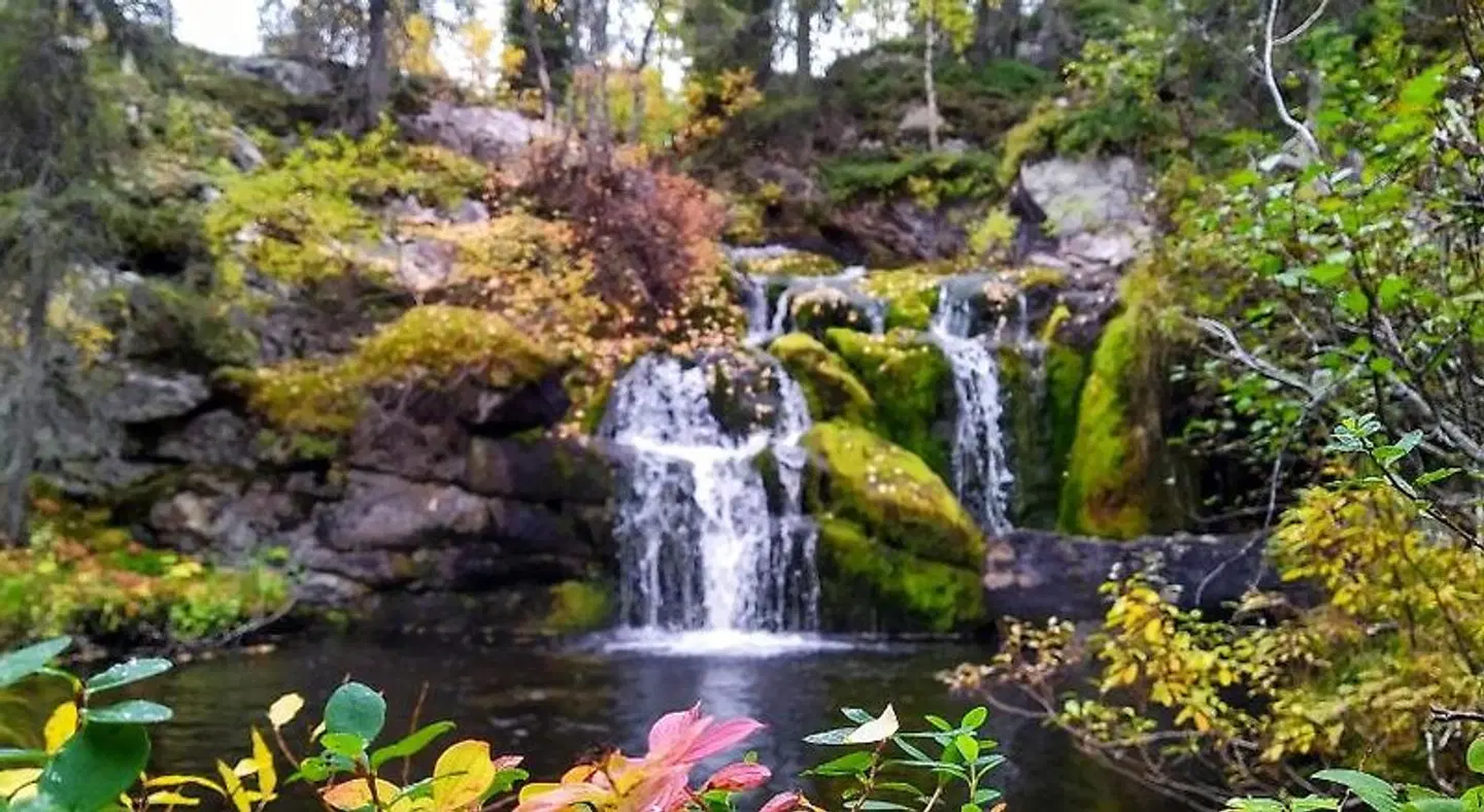 Isokelo Log Apartments LANDSCAPE