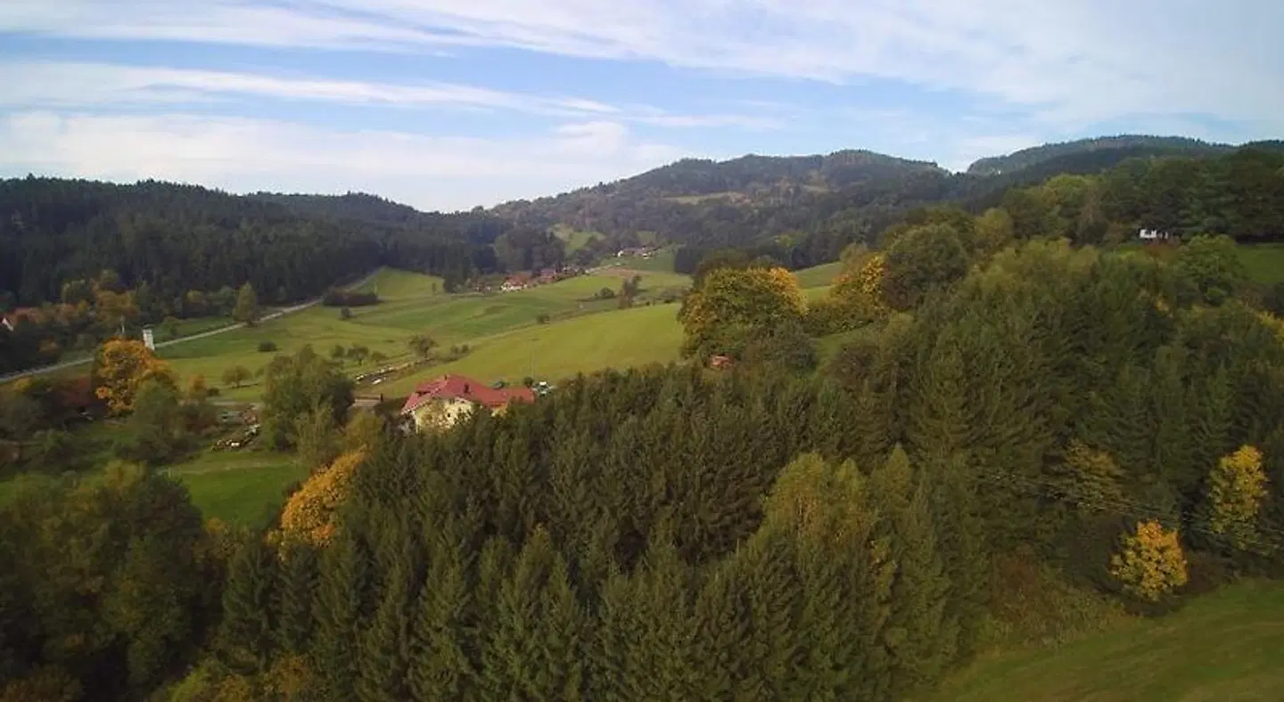 Village Hotel Bayerischer Wald LANDSCAPE