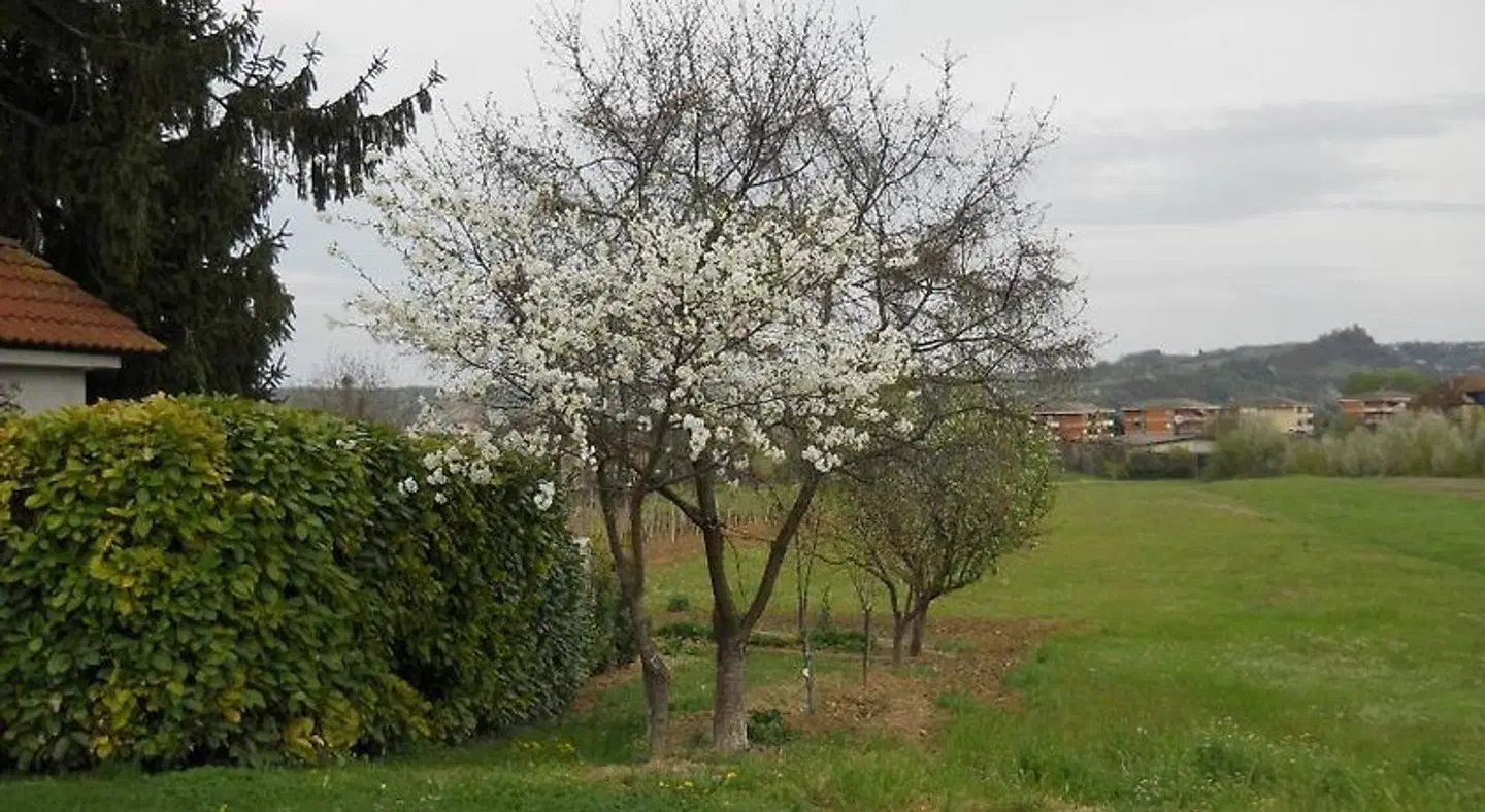 Bed And Breakfast IL Garoch LANDSCAPE
