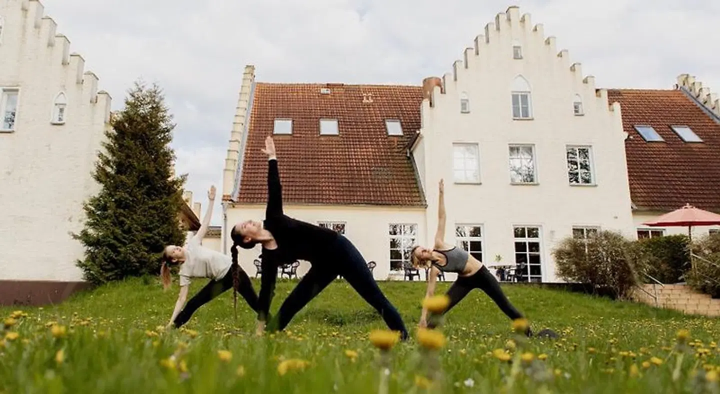 Gut Tribbevitz Tiere