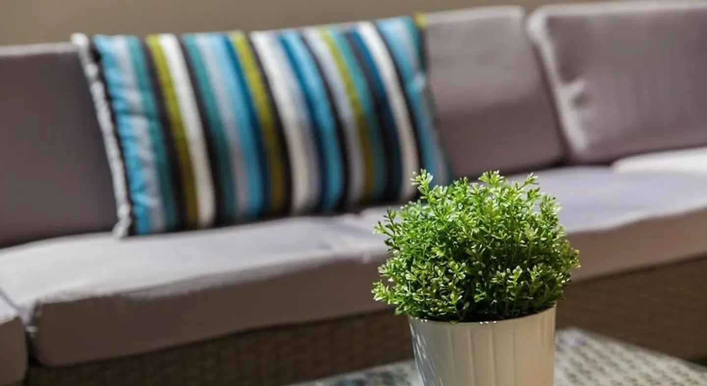 Apartments Casa Mia LOUNGE_LOBBY