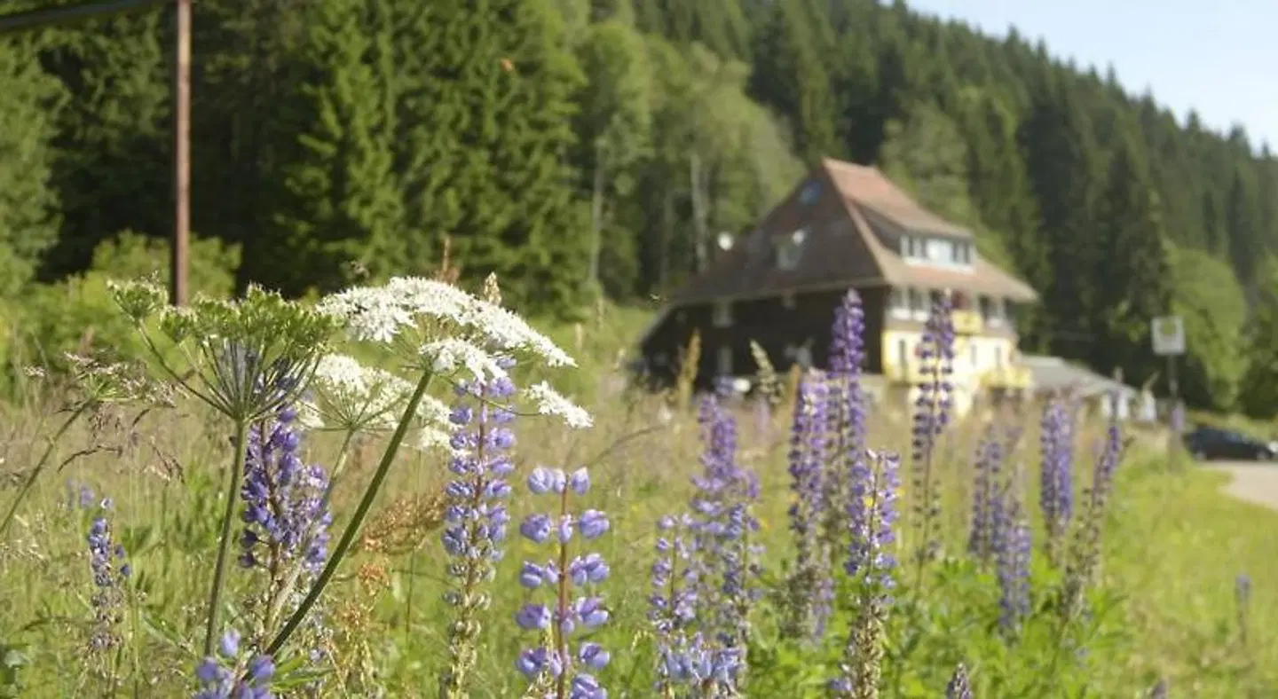 Löffelschmiede LANDSCAPE