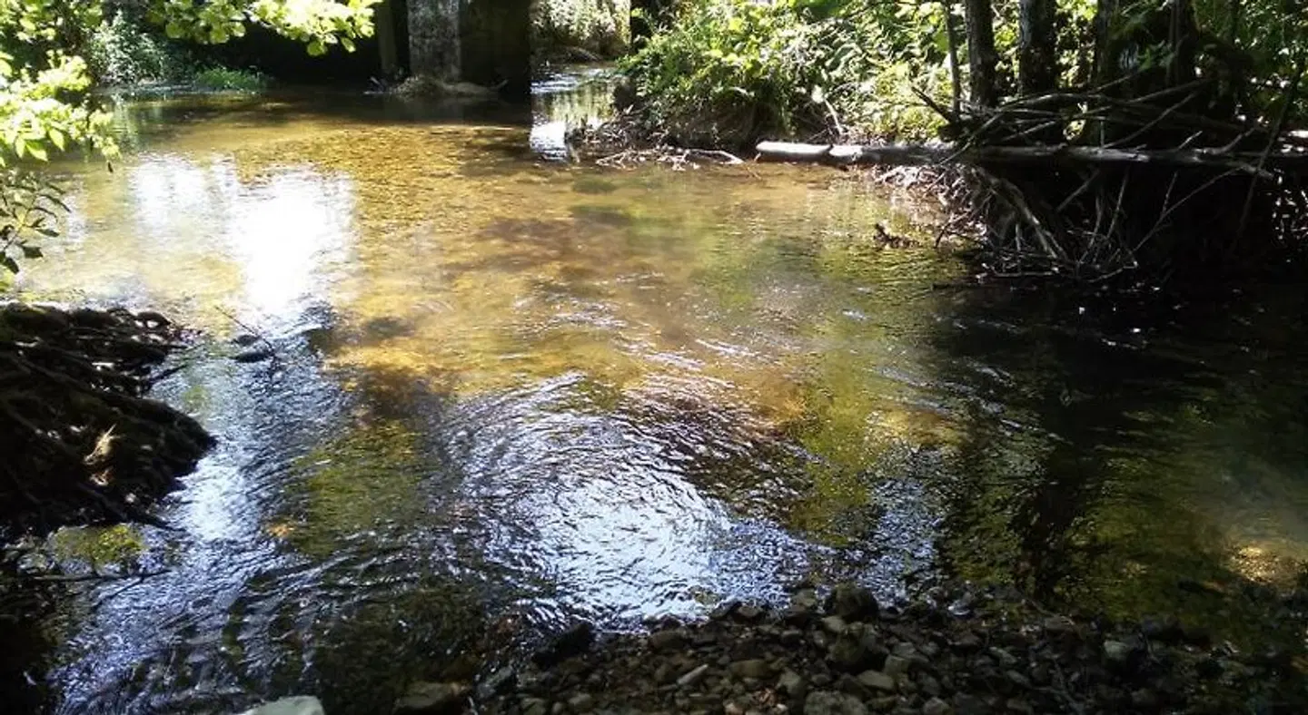 Plitvice Mountain Spring Tiere