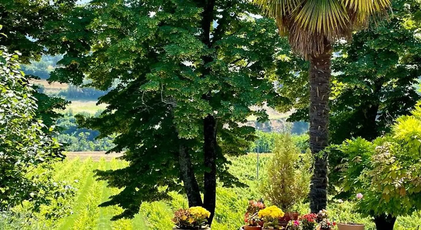 Il Cardello Locanda Garten