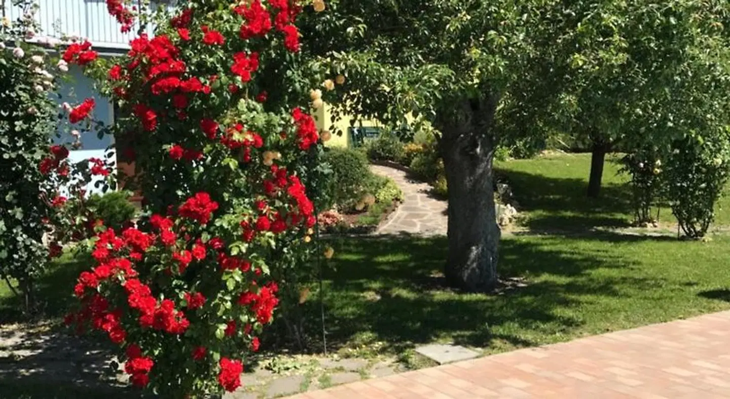 Residence delle Rose Garten