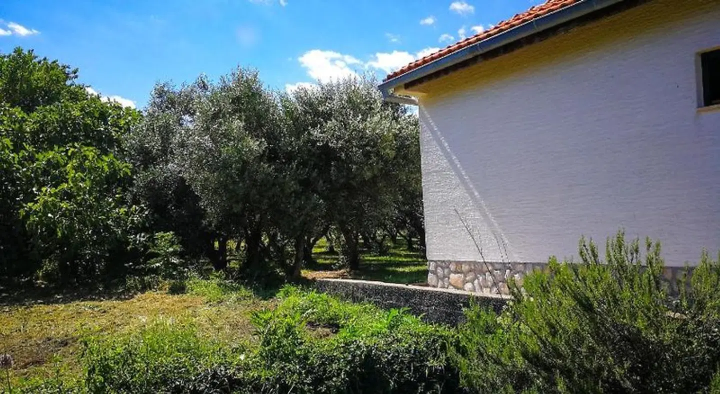Ecohouse Oliveglia EXTERIOR