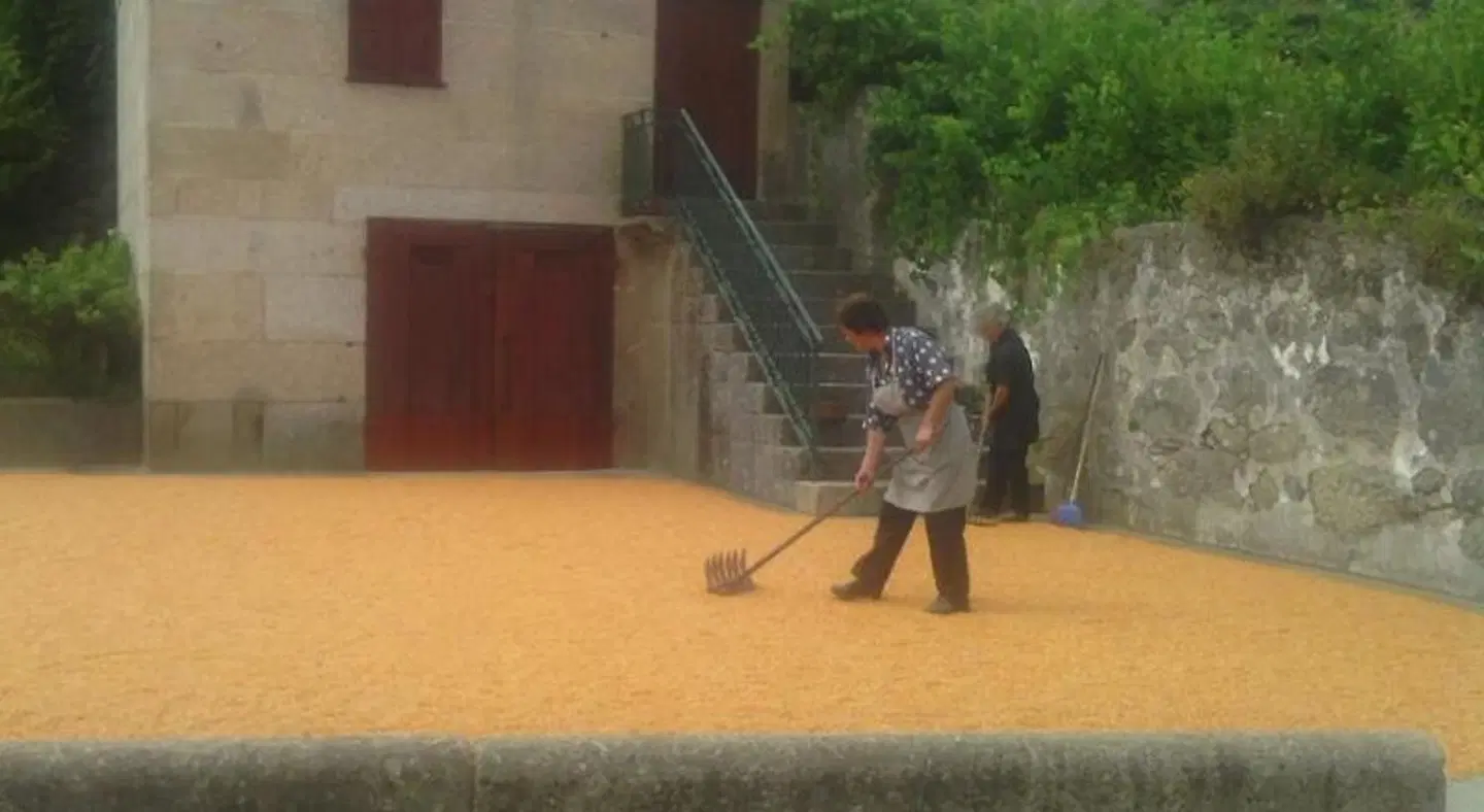 Quinta da Casa Grande Pinheiro SPORTS_AND_LEISURE