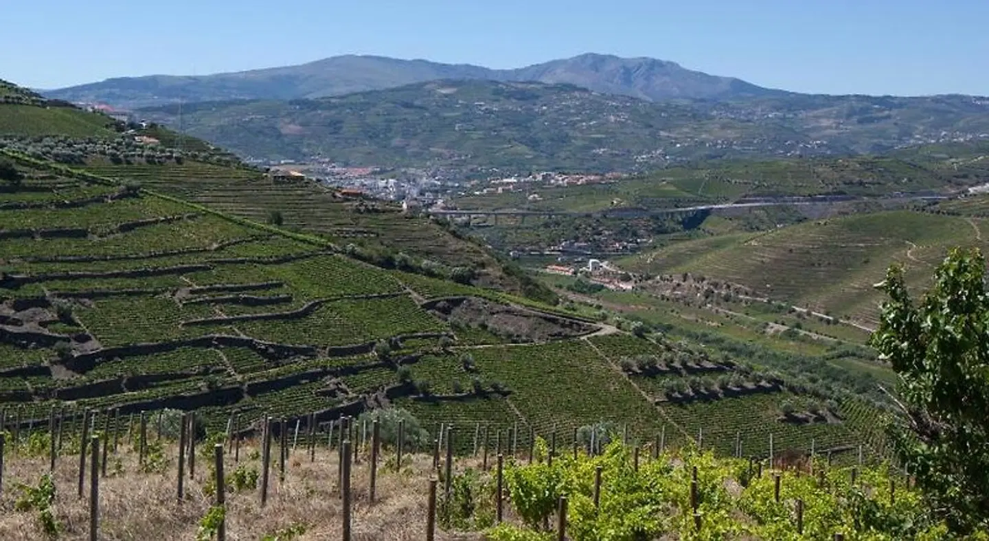 Quinta De Casaldronho Wine Hotel LANDSCAPE
