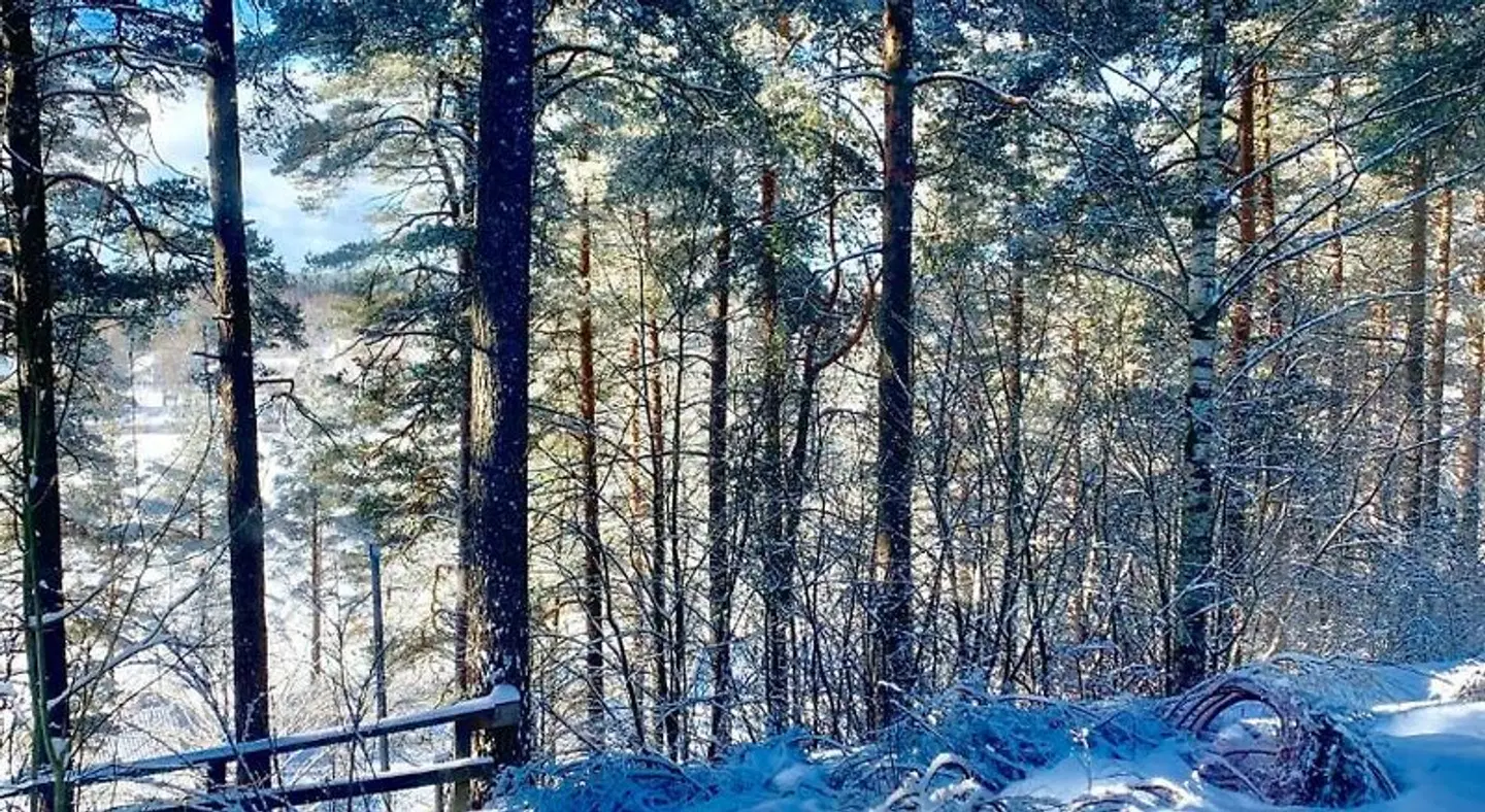 Hotelli Mesku Forssa LANDSCAPE