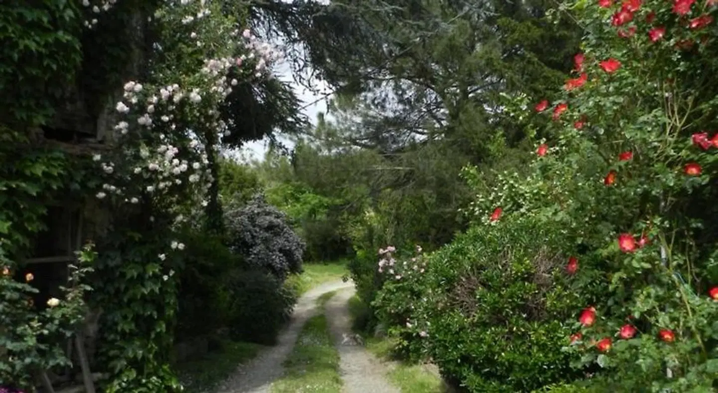 Mamota B&B LANDSCAPE