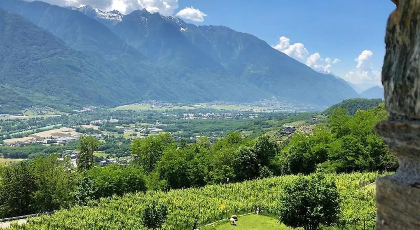 Agriturismo Cavria LANDSCAPE