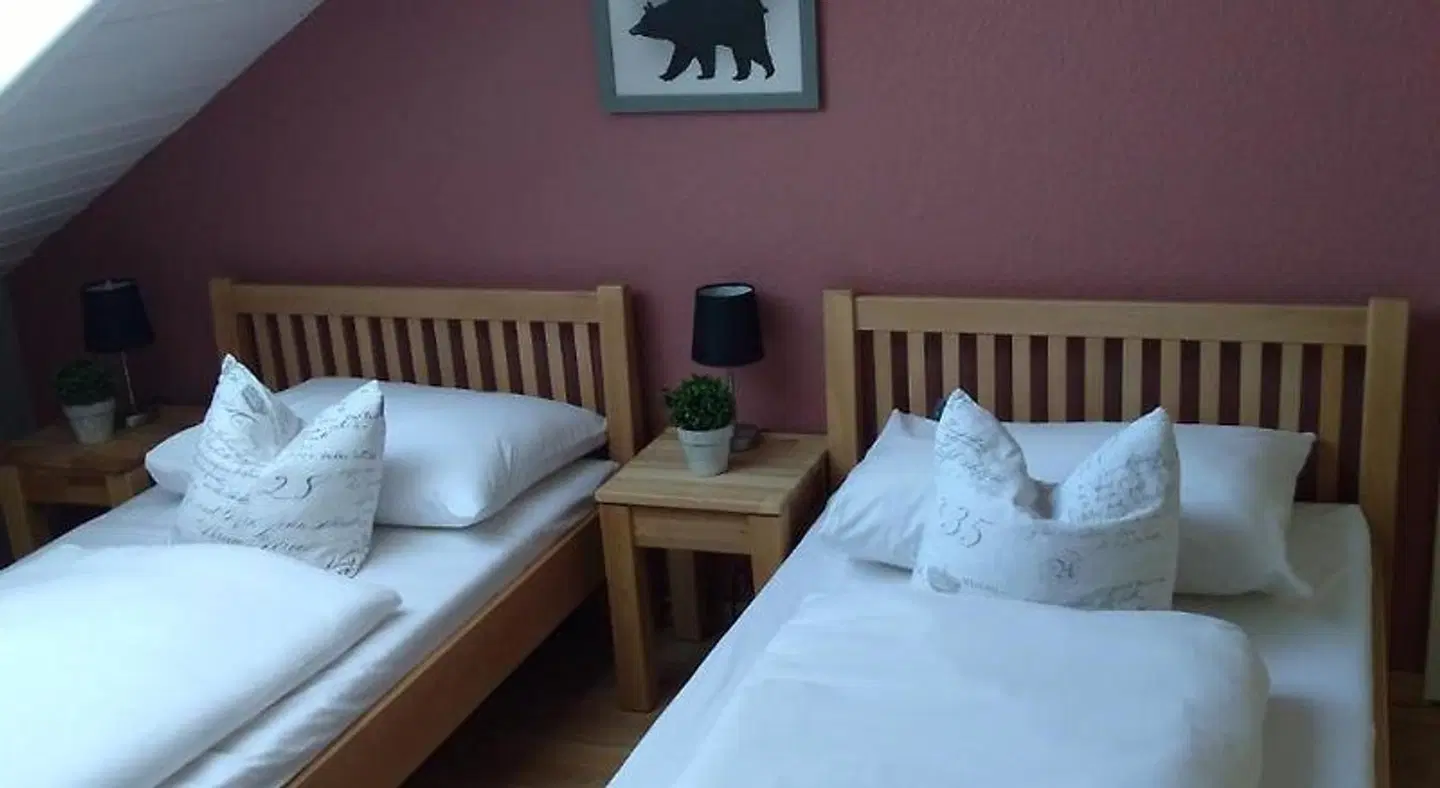 Rheinauer Hof - Das Hotel am Riedweg ROOM_EXAMPLE