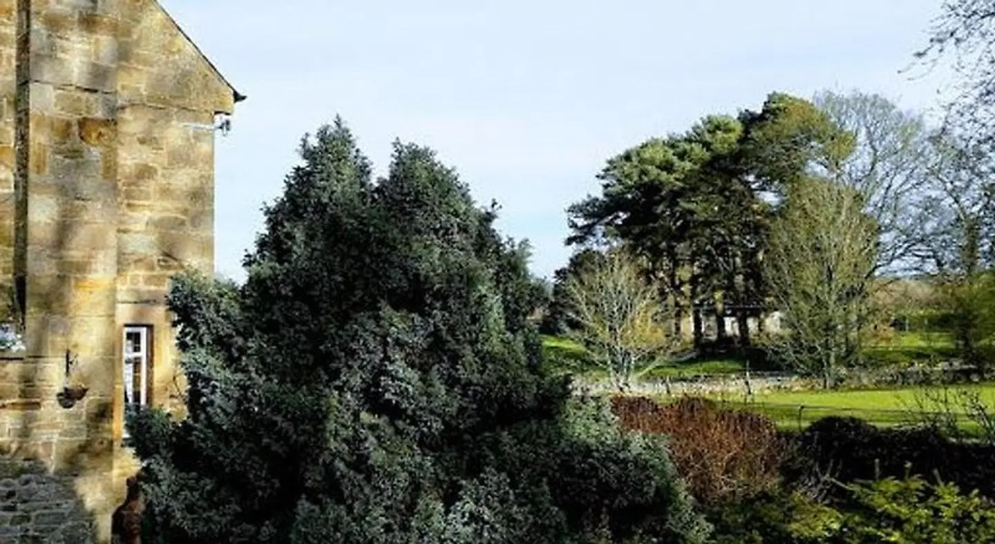 Thornley House LANDSCAPE
