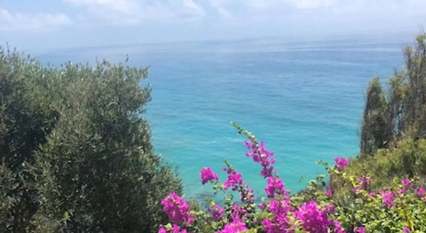 Club Villas Chalet El Encanto LANDSCAPE