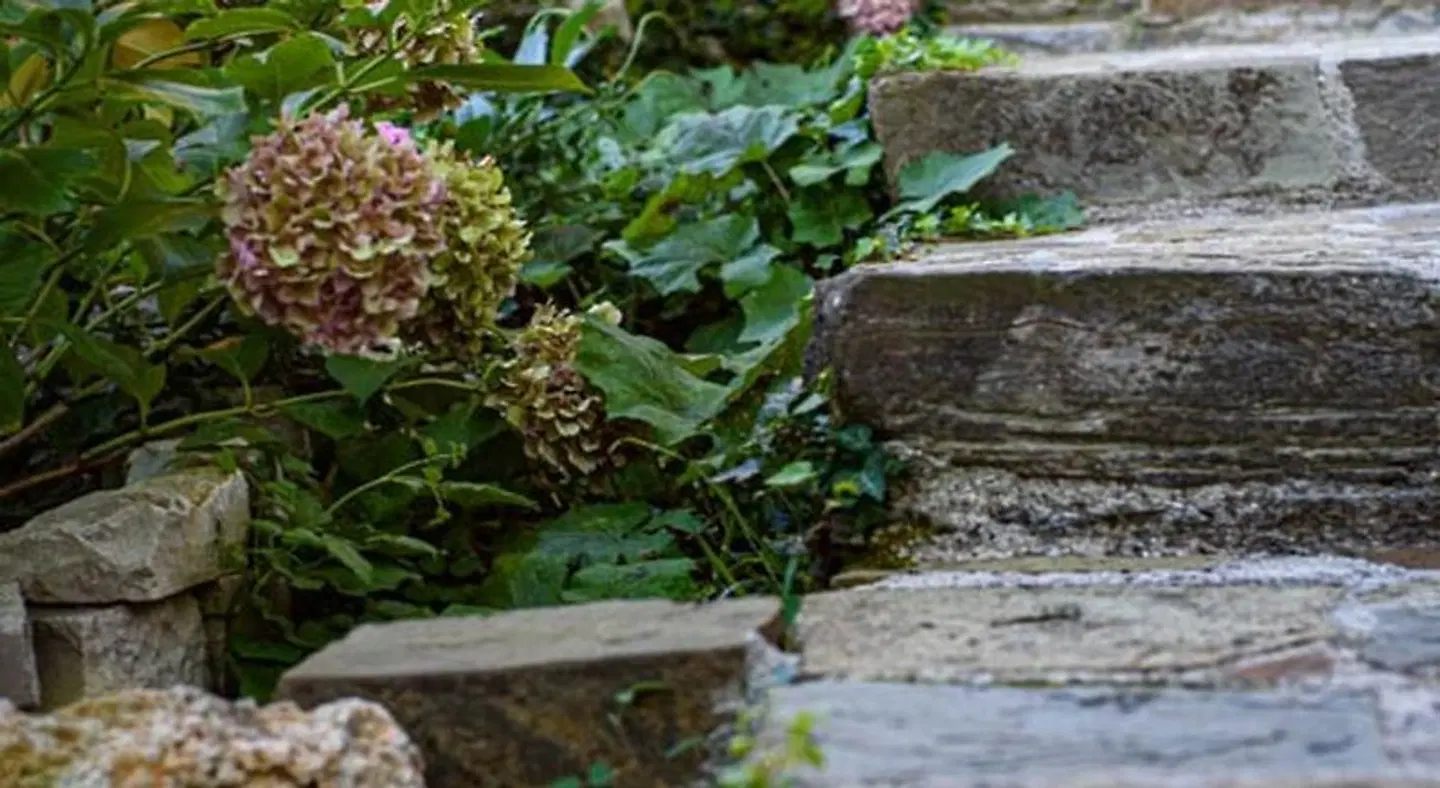 Oikies Katogi Garten