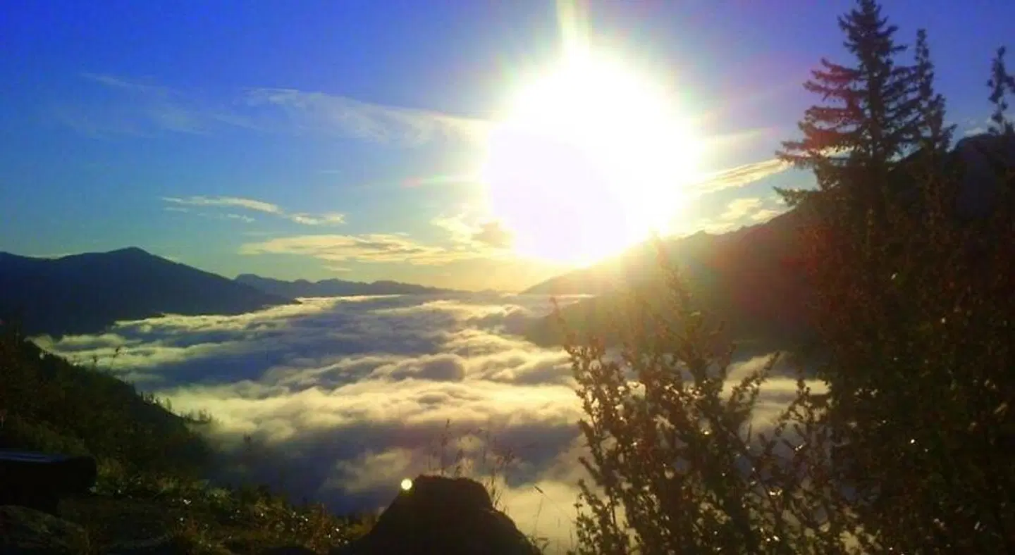 Maximilian LANDSCAPE