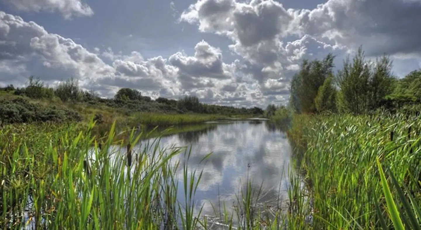 Throphill Grange LANDSCAPE