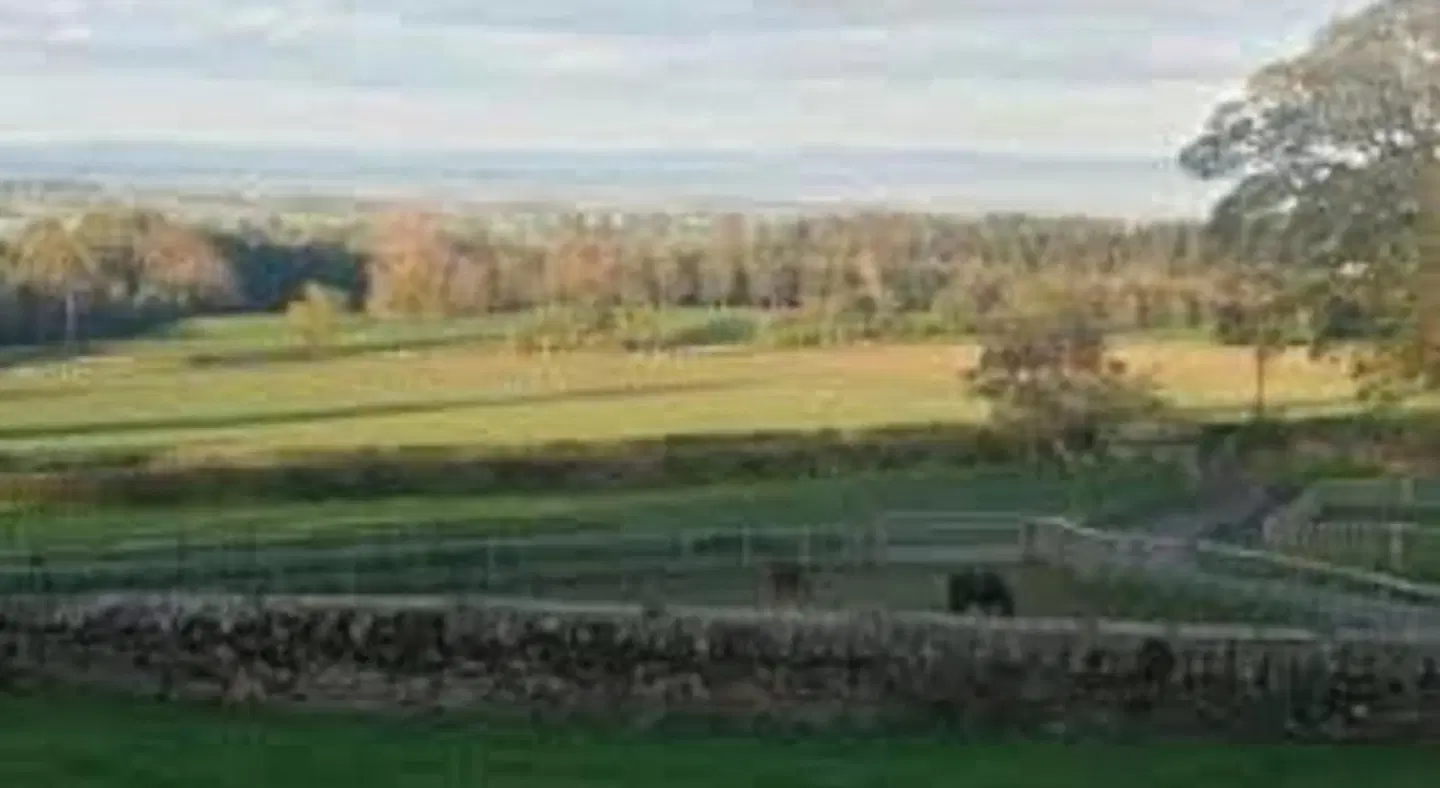 Low Gingerfield Farm B&B LANDSCAPE