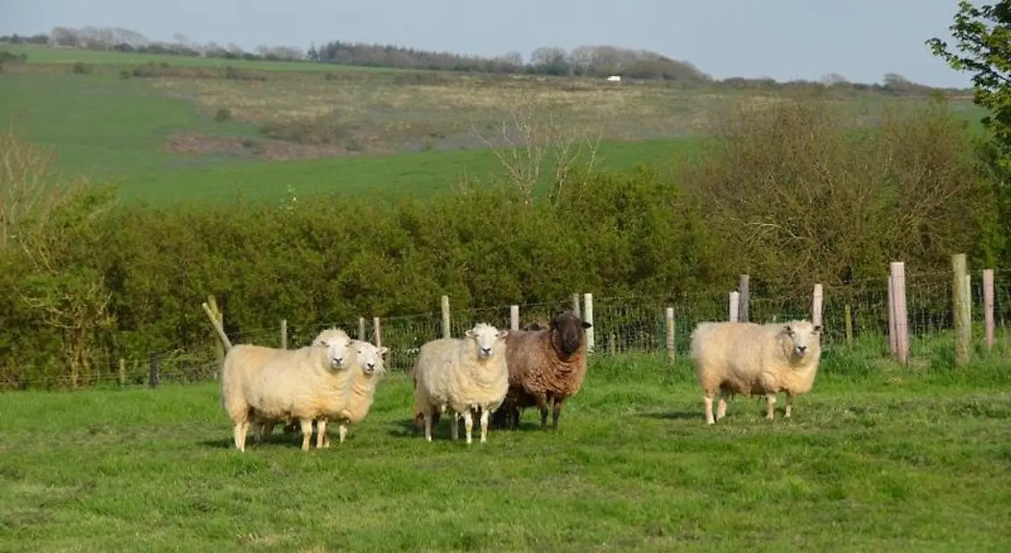 Top Parts Bed & Breakfast Tiere