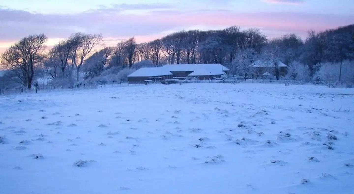 Top Parts Bed & Breakfast LANDSCAPE
