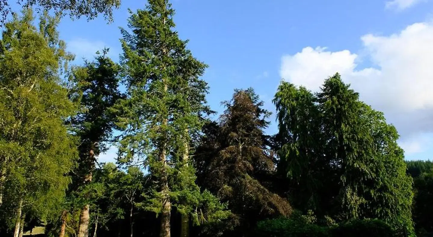 Kerrow House LANDSCAPE