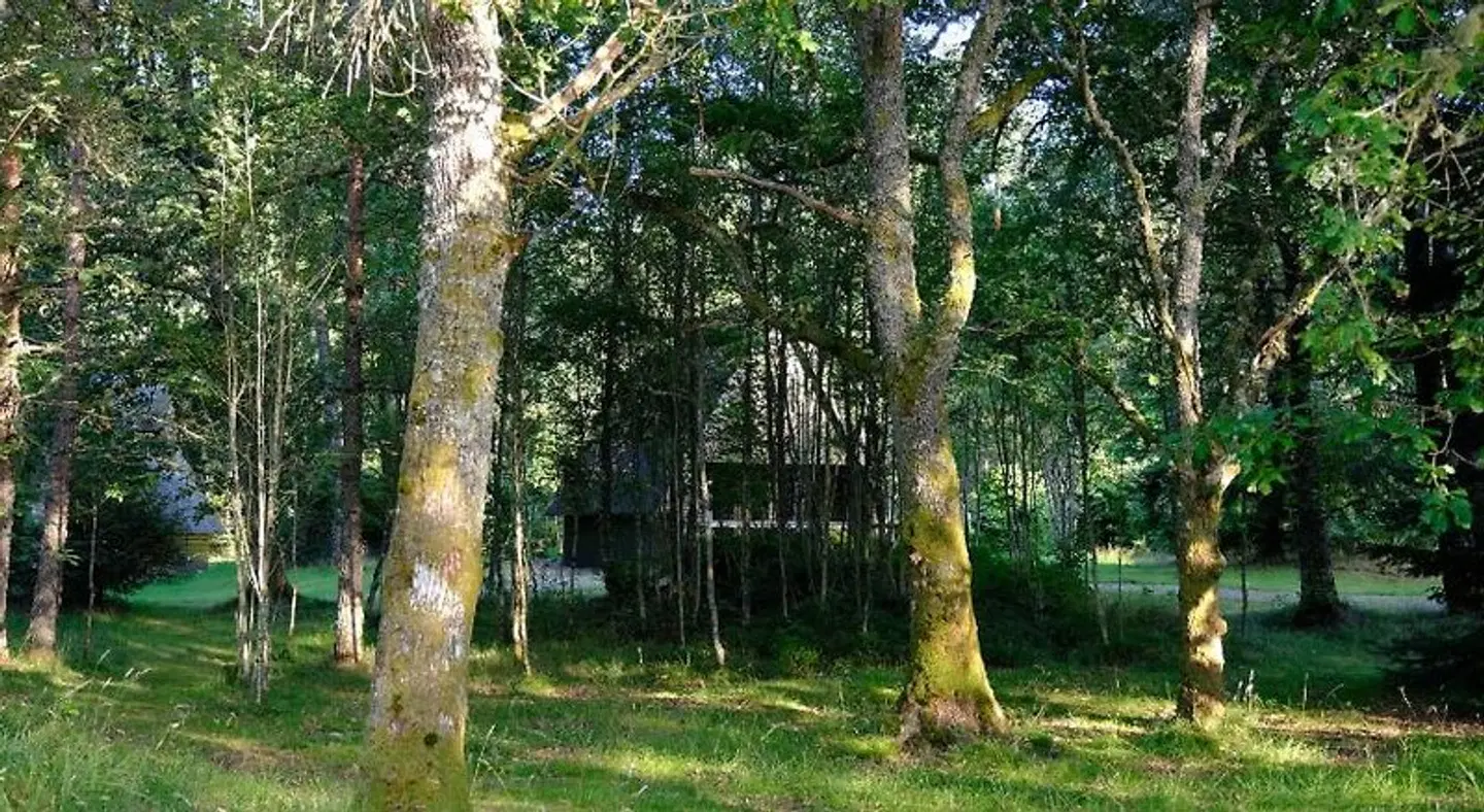Kerrow House LANDSCAPE