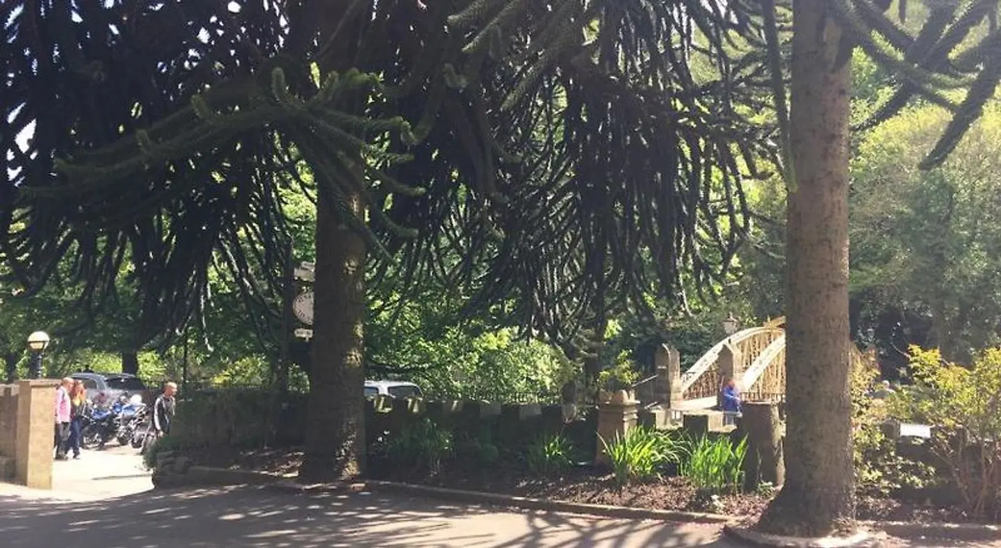 Ashdale Guesthouse Garten