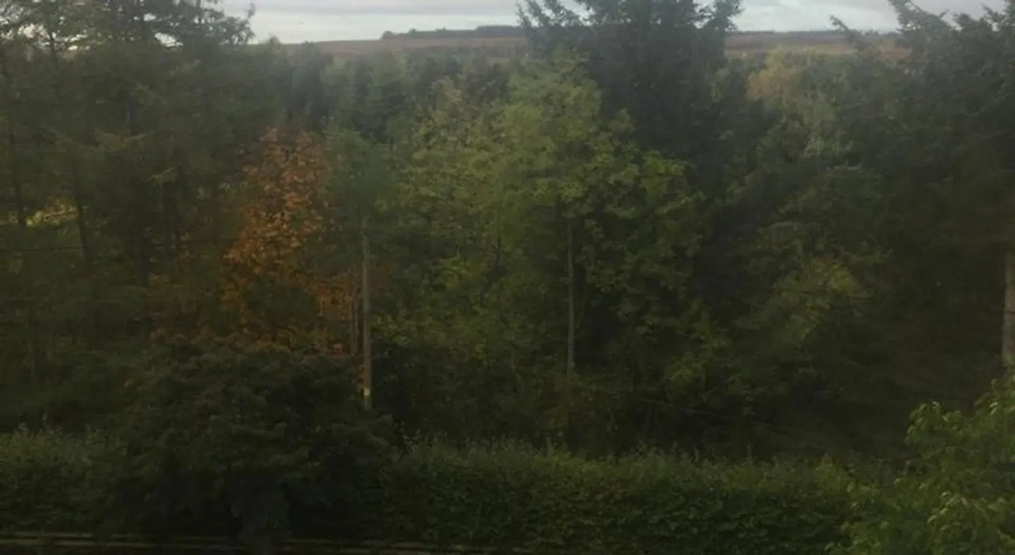 Braeside LANDSCAPE