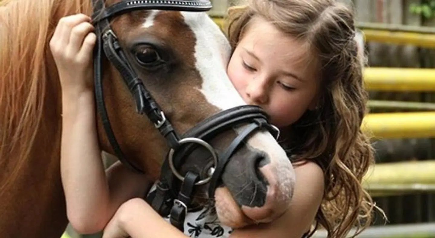 Anthidon Estate SPORTS_AND_LEISURE