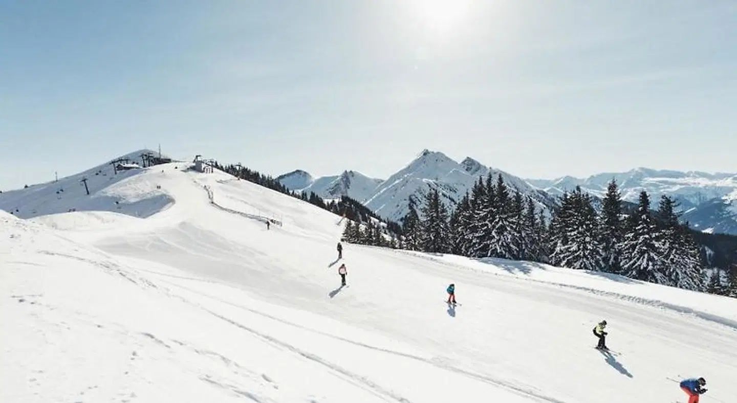 Hotel Nesslerhof SPORTS_AND_LEISURE