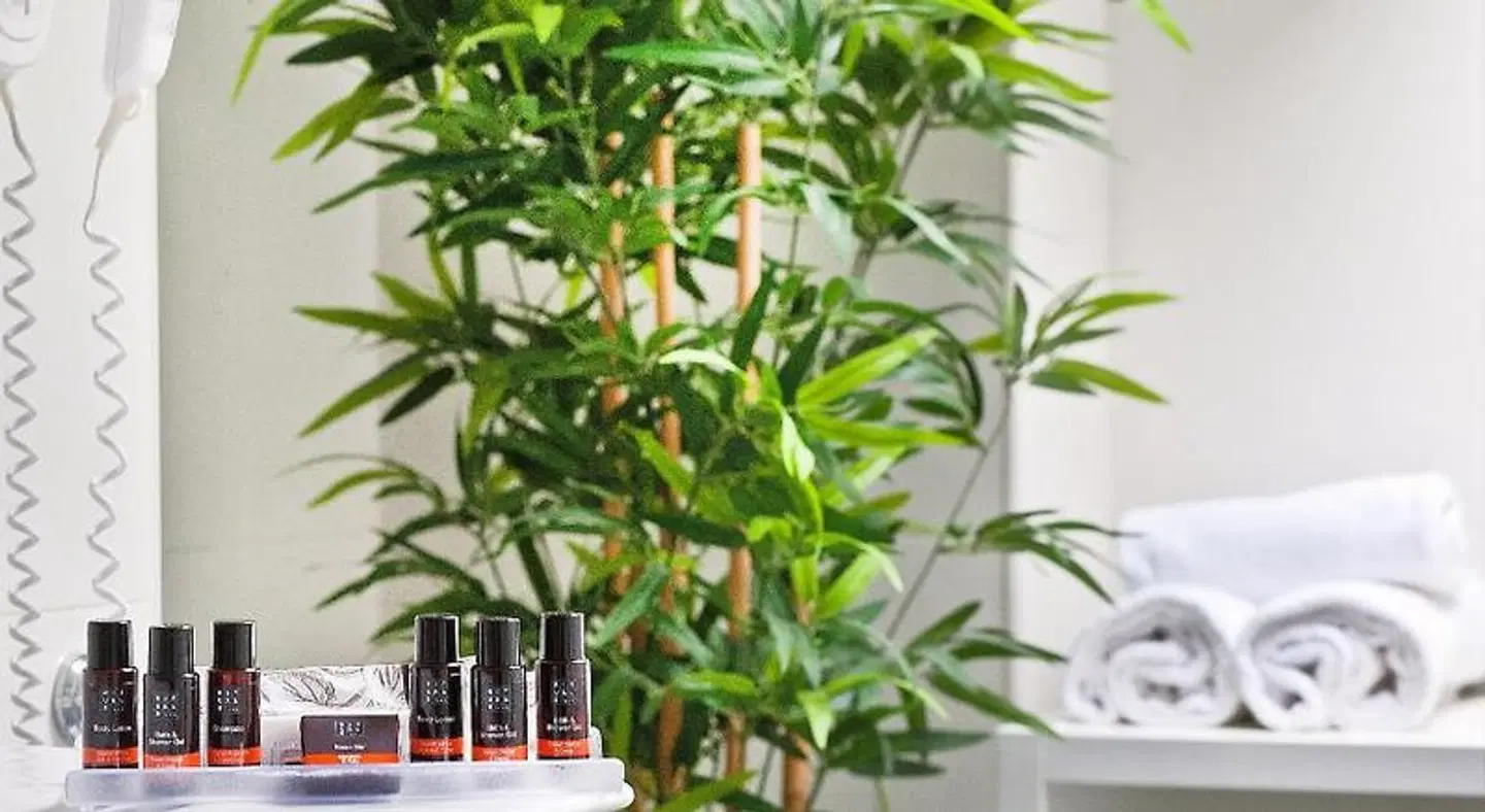 Sant Pere II Terrasse