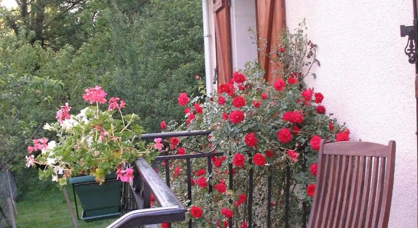 Le Moulin du Barthas Terrasse