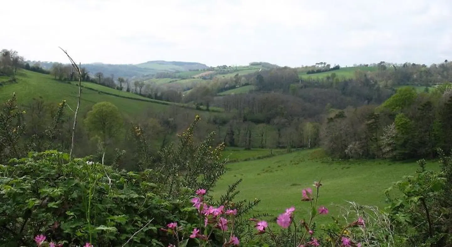 Le Moulin du Barthas LANDSCAPE