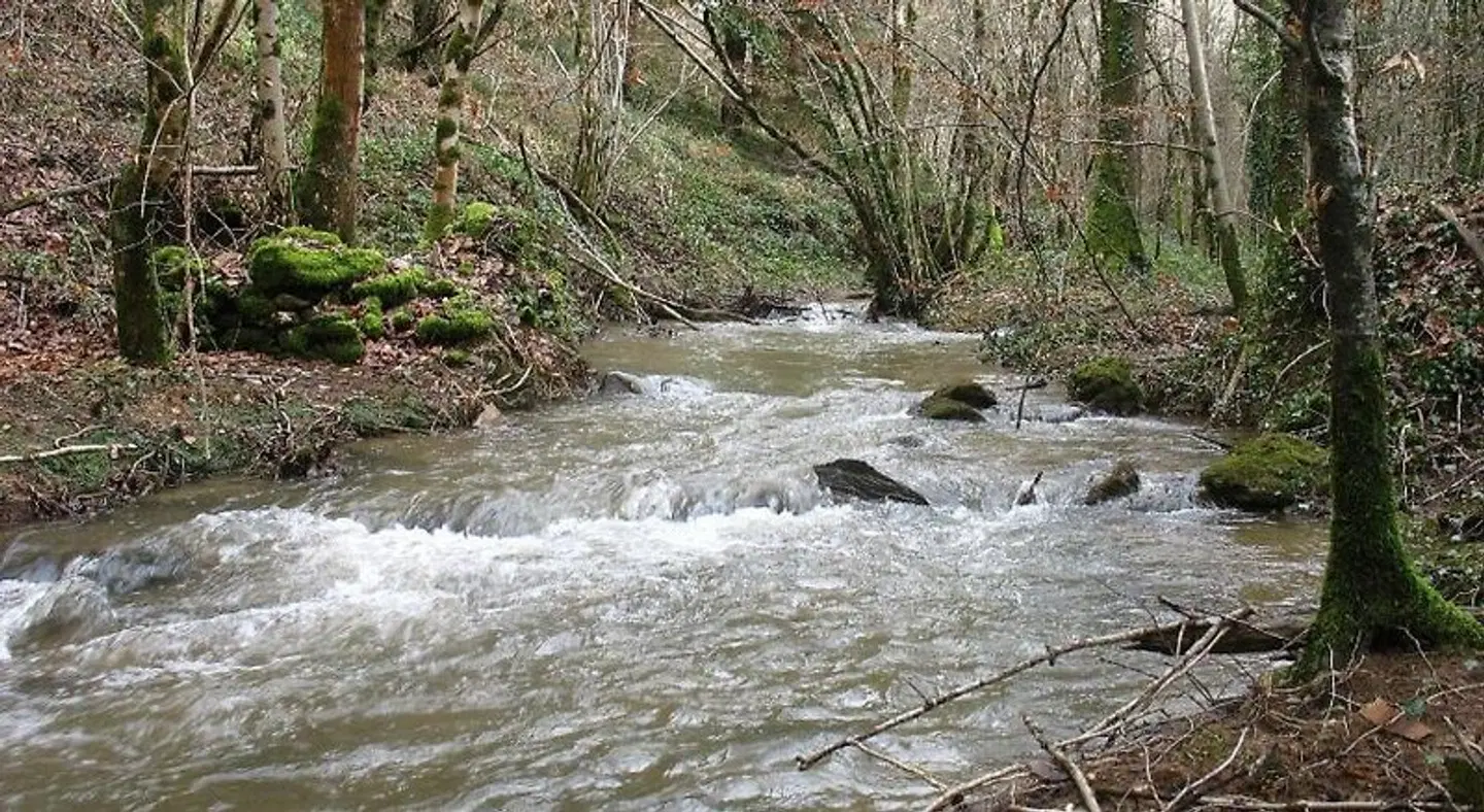 Le Moulin du Barthas LANDSCAPE