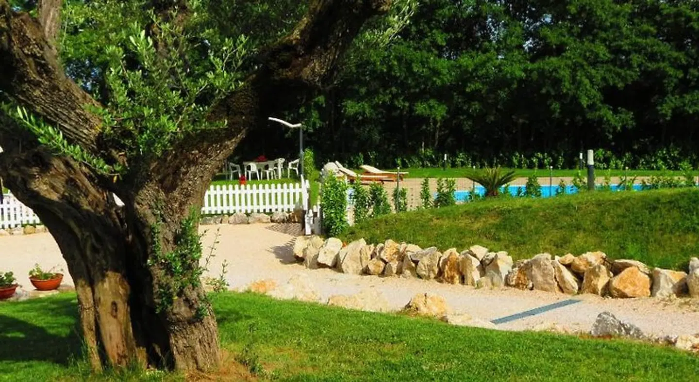 La Selva Incantata b&b Tiere