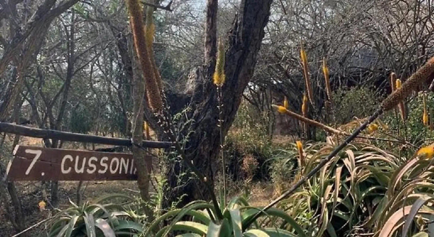 Shayamoya Lodge LANDSCAPE