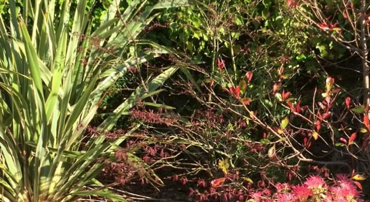 Buccleuch Guest House LANDSCAPE