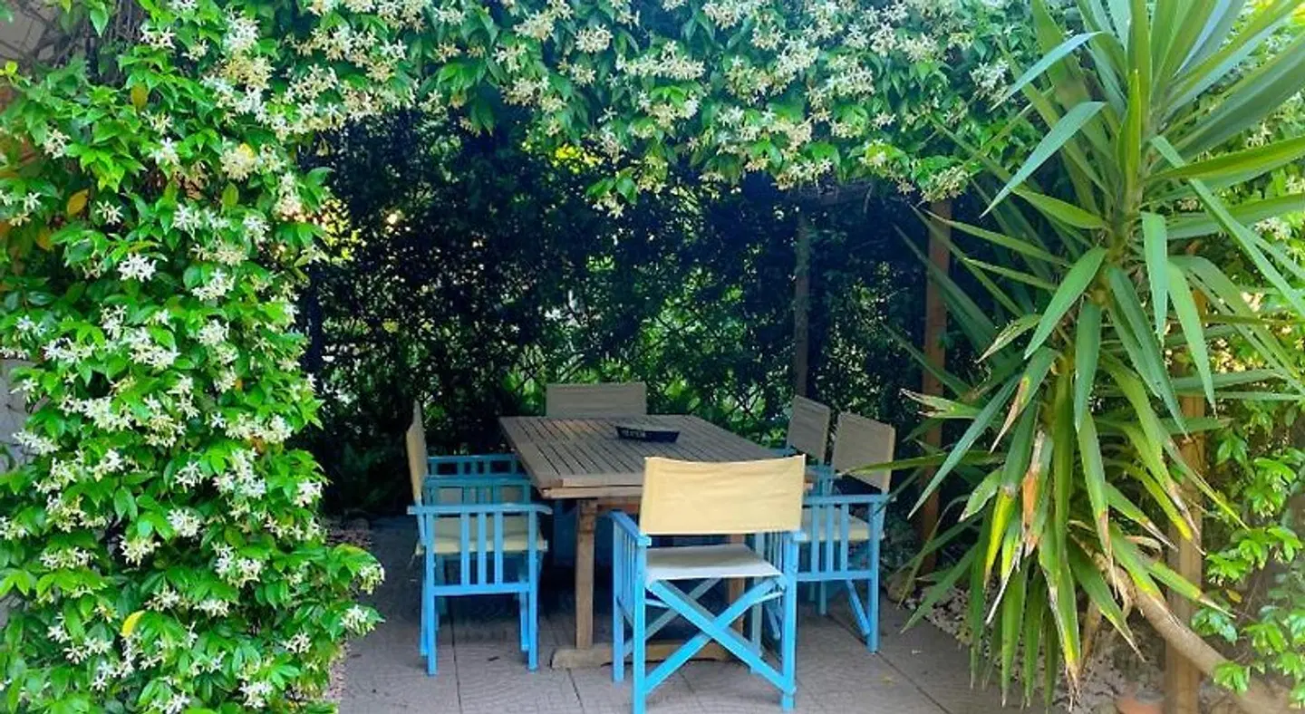 Le Pinette Bed and Breakfast Terrasse